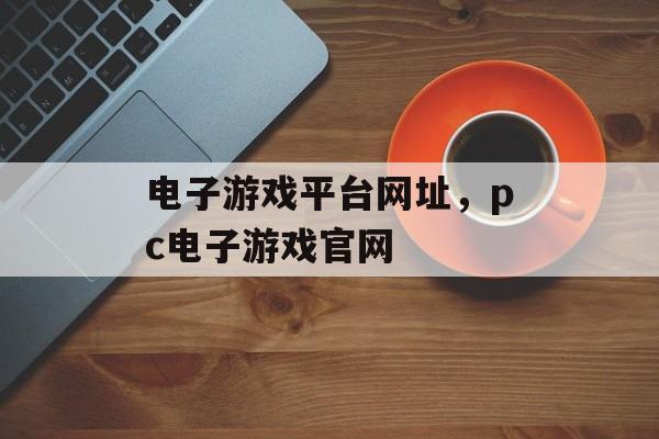 电子游戏平台网址，pc电子游戏官网